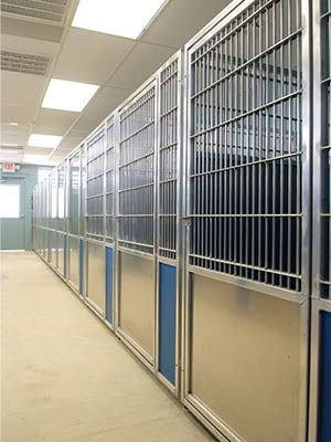 kennels