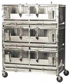 rabbit breeding rack