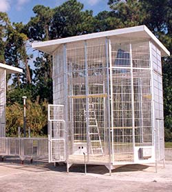 primate bird module