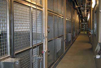 Stainless Steel Zoo Caging