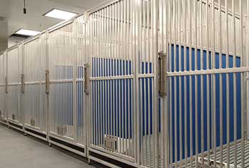 Swine Kennels