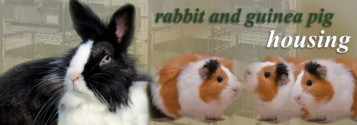 rabbit-guinea-pig-research-cages