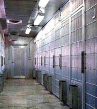 design features dog kennels